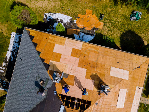 Best Roof Gutter Cleaning  in Sudan, TX